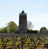 le-vin-de-mes-parents